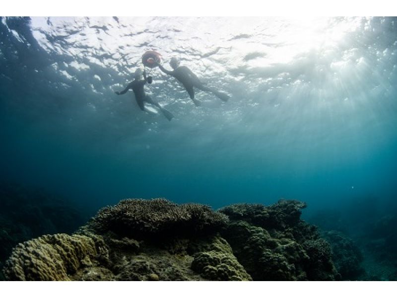 【鹿児島・奄美大島】サンゴやカラフルな魚を見られるシュノーケリング体験
