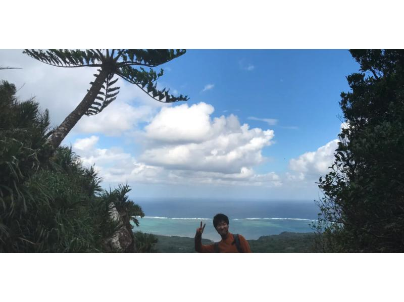 【이리 오모테 섬】 1 일 1 세트 한정 가이드 전세 개인 투어 | 바다 · 산 · 강 등 즐기는 방법은 자유 자재!の紹介画像