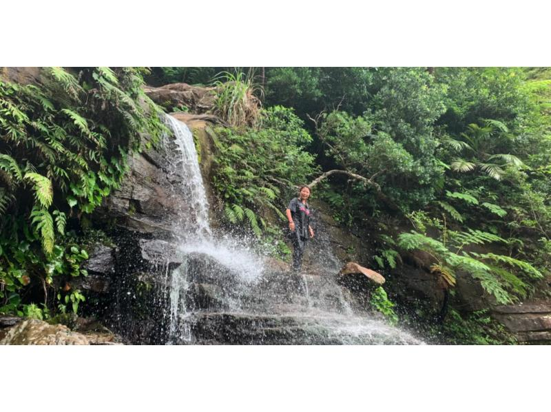 [Iriomote Island] Half-day Geta Waterfall Trekking Tour | Recommended for beginners! (Morning part)