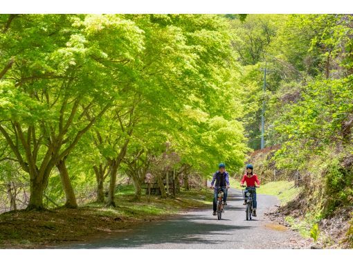 【東京・奥多摩】ガイド付き 初心者大歓迎！奥多摩の大自然を巡る e-バイク サイクリングツアー♪ 奥多摩むかし道コース