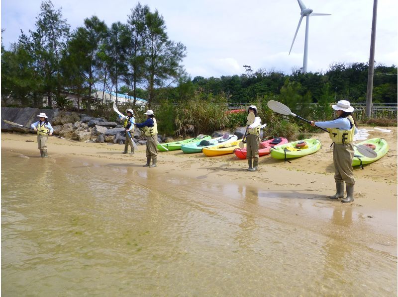 【沖縄・今帰仁】〈学割・学生限定プラン〉ネイチャーウォッチングカヤック 干潮時はシオマネキやミナミトビハゼ！満潮時は入り江を散策 2時間の紹介画像