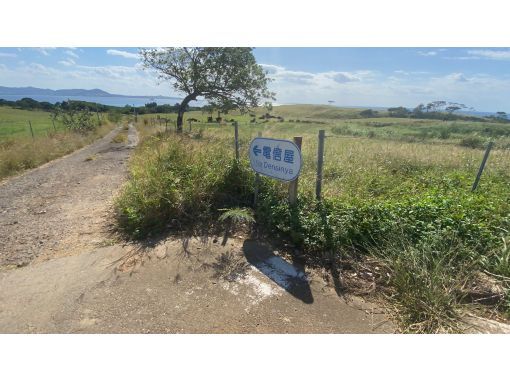 沖縄 石垣島 平和学習オンラインツアー 石垣島の戦争遺跡めぐり 戦争の歴史にふれる旅 アクティビティジャパン