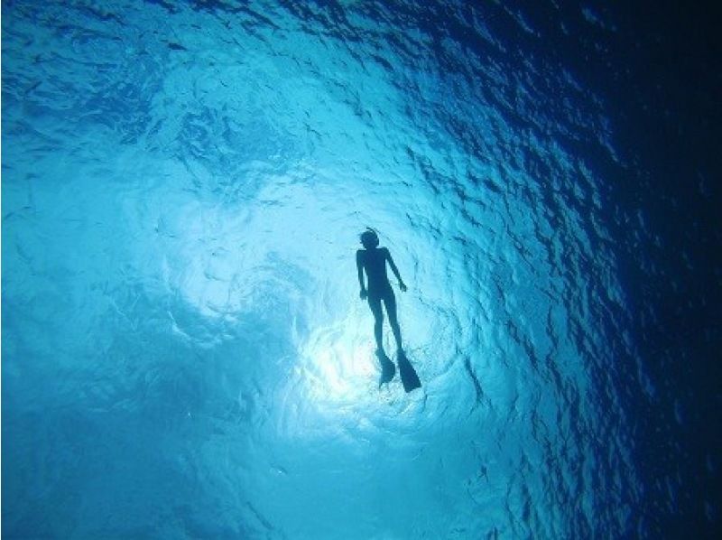 【沖縄・石垣島】ウミガメ遭遇率95％以上！！（半日）ビーチから行くウミガメシュノーケル♪防水カメラレンタル無料！！