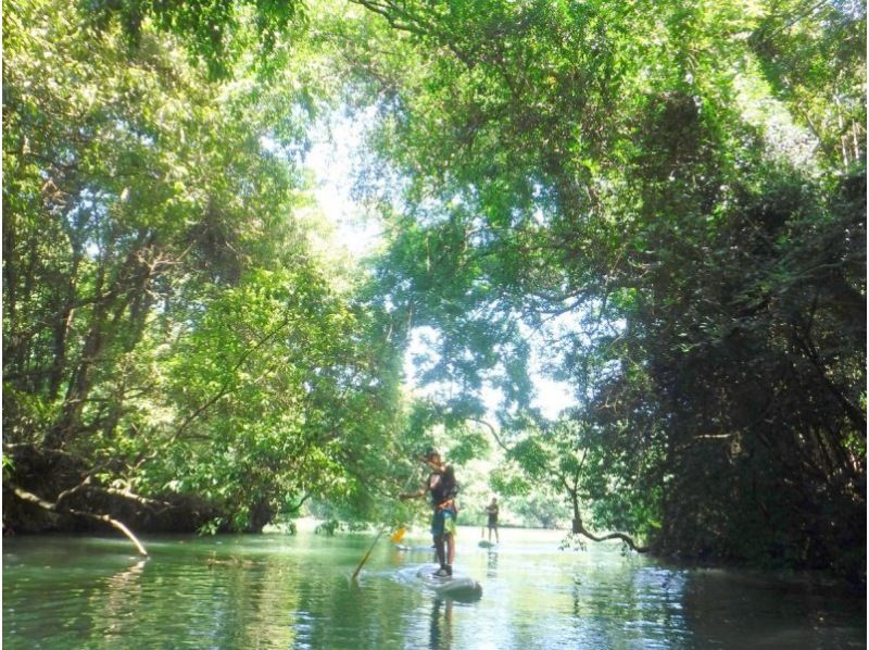 [长岛湖SUP]悠闲地走在水面上♪の紹介画像