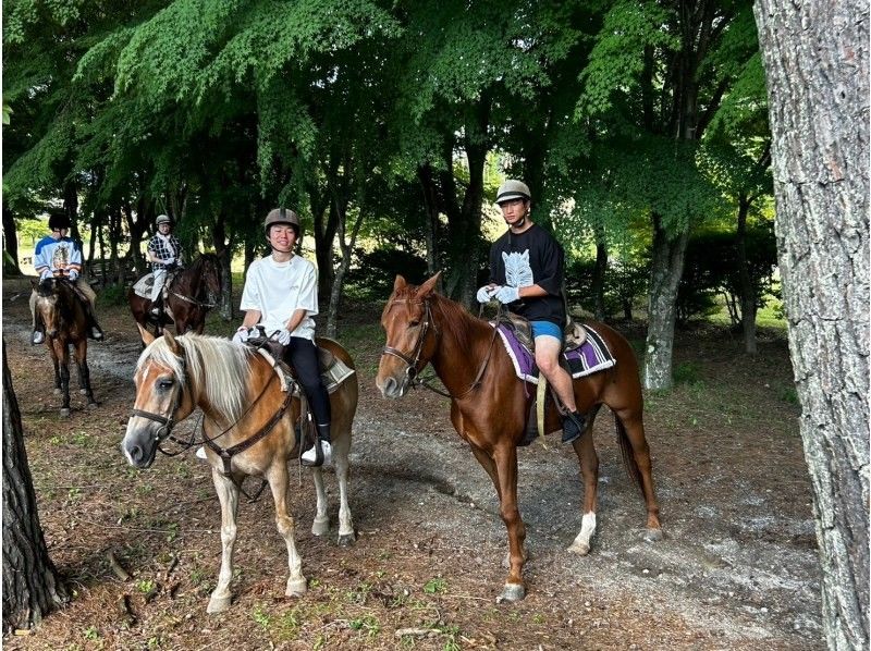 【山梨・小淵沢】野外騎乗！初めての乗馬プラン・レッスン30分＋外乗60分の紹介画像