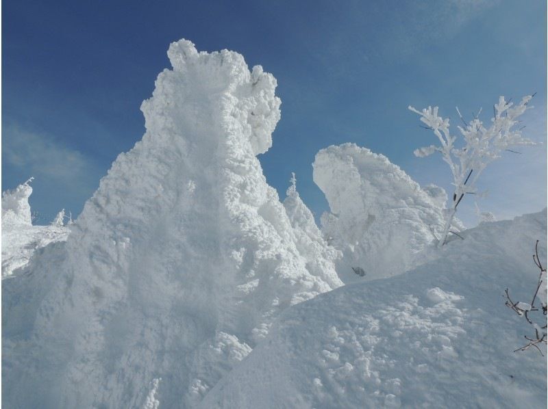 【山形　蔵王】仙人沢氷瀑（アイスガーデン）と樹氷を巡るスノーシューツアー　無料送迎可の紹介画像