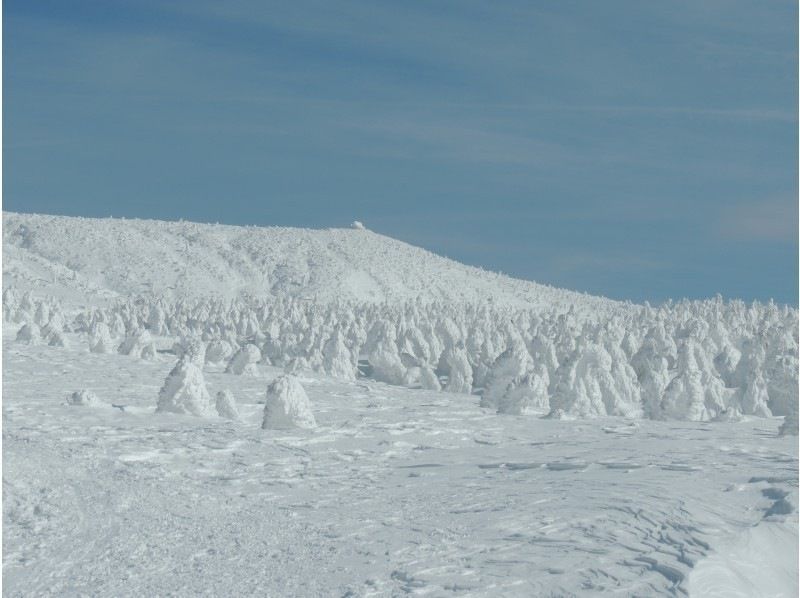 【山形　蔵王】仙人沢氷瀑と樹氷を巡るスノーシューツアー　無料送迎可　多くの人に山形の良さを知ってほしいから【安心価格】のガイド付きツアーの紹介画像
