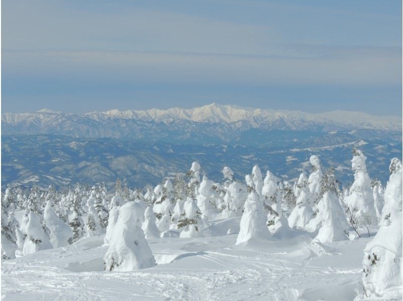 【山形　蔵王】仙人沢氷瀑と樹氷を巡るスノーシューツアー　無料送迎可　多くの人に山形の良さを知ってほしいから【安心価格】のガイド付きツアーの紹介画像