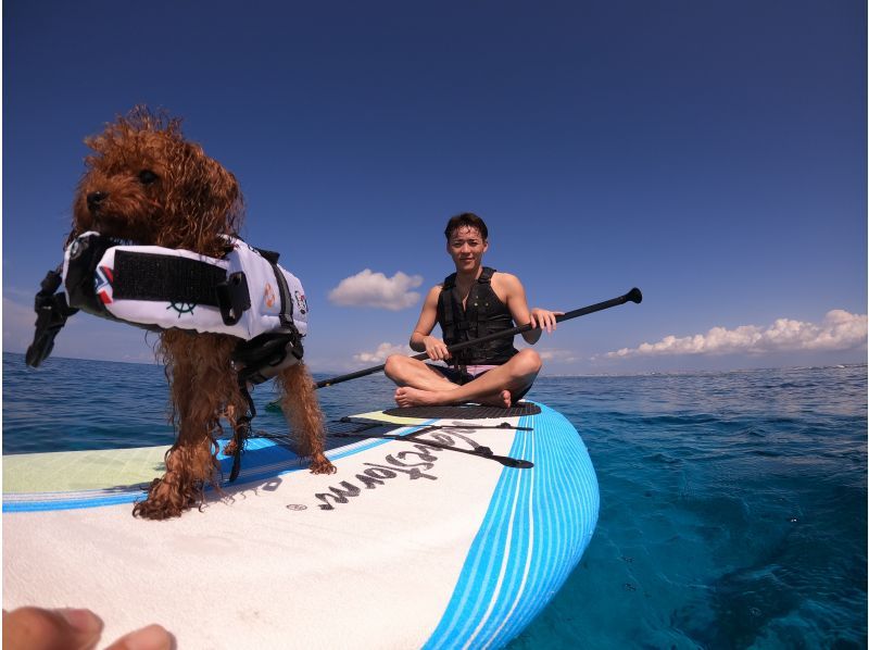 [Whole Okinawa main island / 1 day] Diving & snorkeling & trekking & SUP all-you-can-play | <0 years old-participation OK>の紹介画像