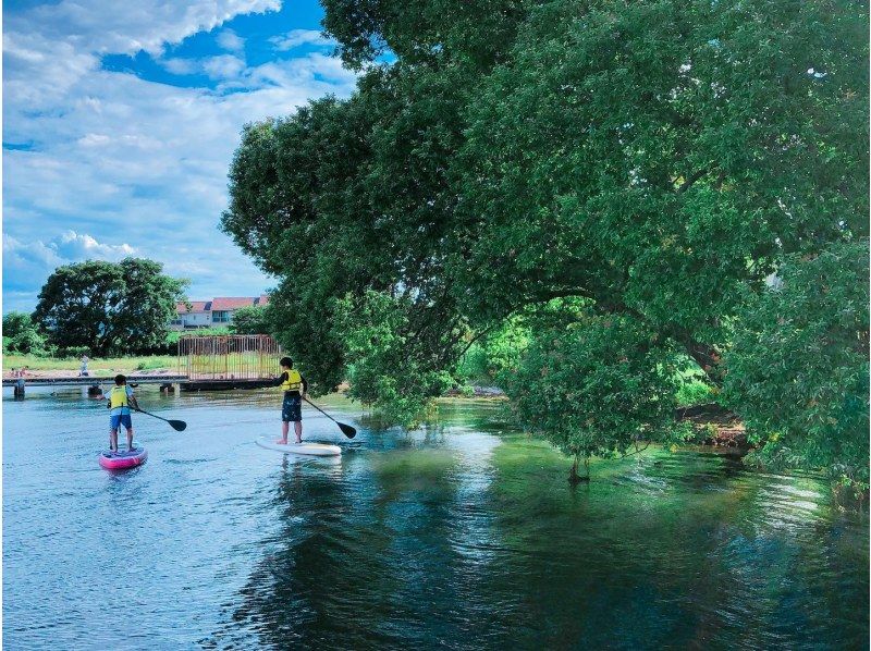 A1) 【시가 · 비와코】 이른 아침 SUP! | 여유롭게 SUP ♪ 애견 동반 OK ♪ 혼자 / 여성도 추천!の紹介画像