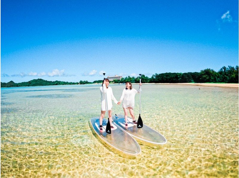 【石垣島/1日】青の洞窟探検！遭遇率95%ウミガメシュノーケル&クリアSUPクルージング《写真、送迎無料★》の紹介画像