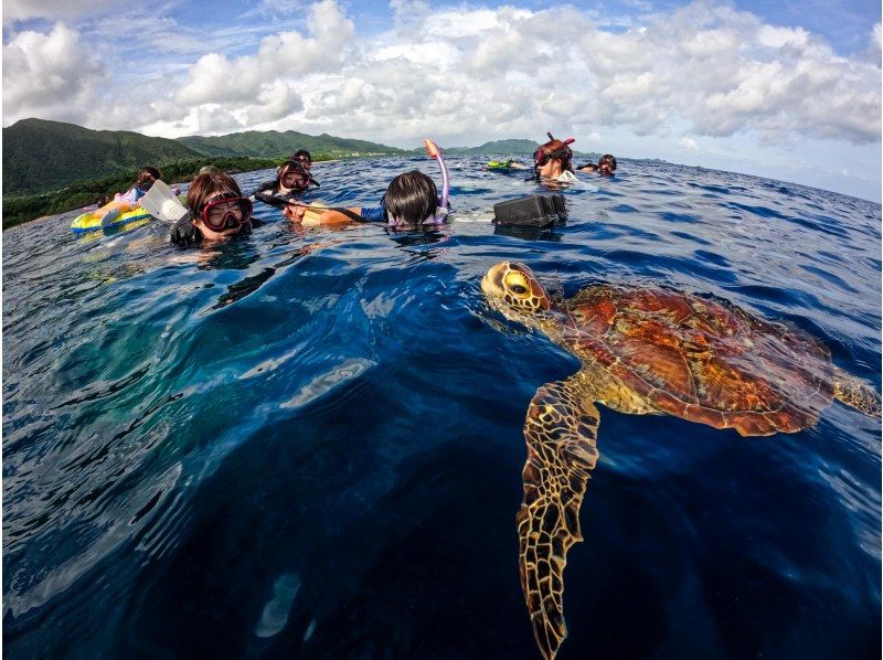 【石垣島/1日】青の洞窟探検！遭遇率95%ウミガメシュノーケル&クリアSUPクルージング《写真、送迎無料★》の紹介画像