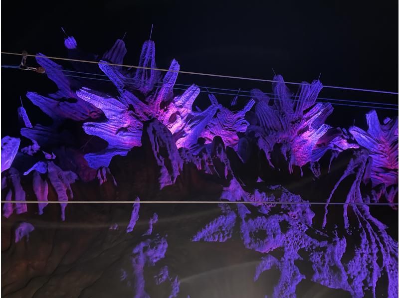 【효고&middot;아와지시마 니지겐노모리】세계 최대 길이 약 120m의 실물대 「고질라」가 아와지시마에 등장! 「Zipline」을 즐길 수 있다!の紹介画像