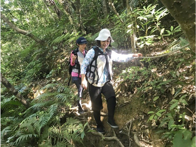 《学生旅行・卒業旅行応援》2000円割引キャンペーン　西表島　ピナイサーラの滝１日ツアー　滝上＆滝壺　カヌー＆トレッキングの紹介画像