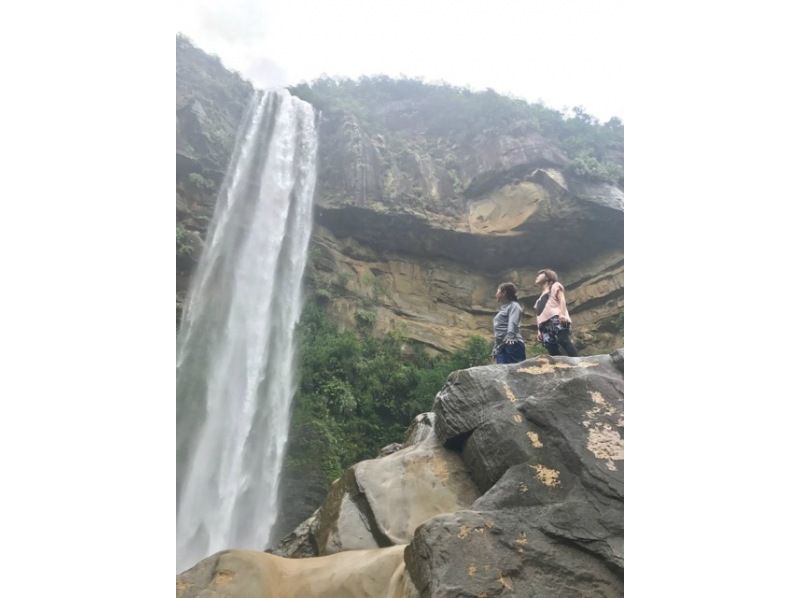 《Support for student trips and graduation trips》2000 yen discount campaign Iriomote Island Pinaisara Falls 1-day tour Waterfall top & waterfall basin canoeing & trekkingの紹介画像