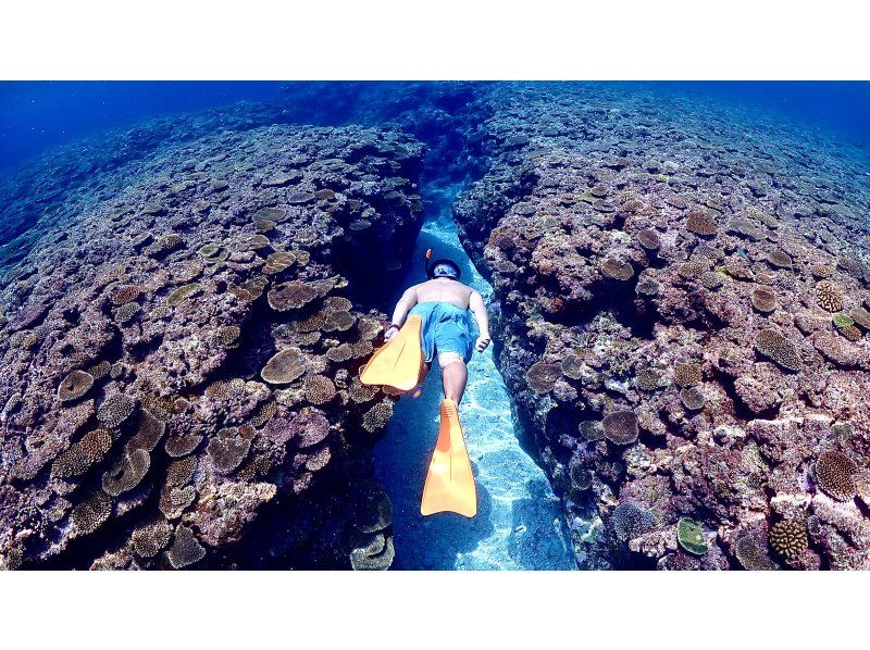 [Okinawa / Miyakojima] Classic blue cave & popular sea turtle snorkel tour! !! Sea turtle encounter rate 98%! Beginners are welcome!の紹介画像