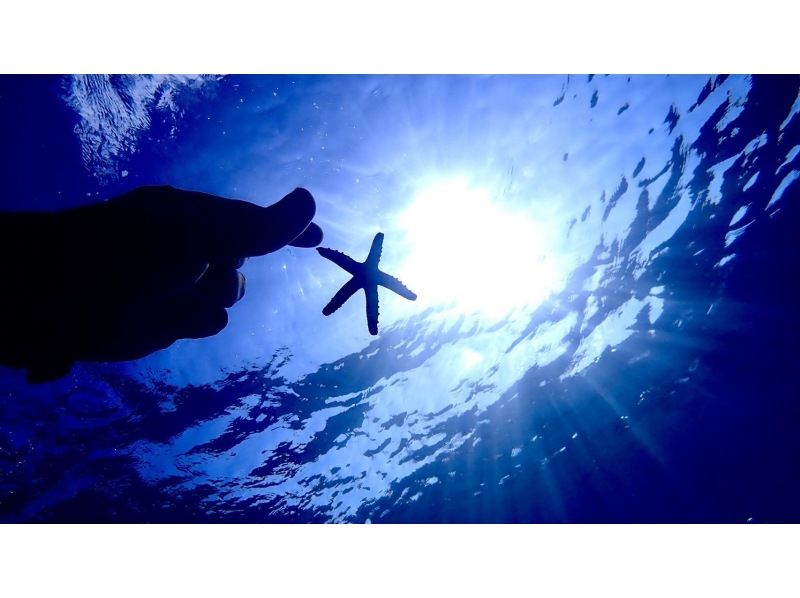 宮古島【定番の青の洞窟&大人気ウミガメシュノーケルツアー】ウミガメ遭遇率驚異の99％！ドローン撮影込み！女性・カップルにオススメ！！の紹介画像