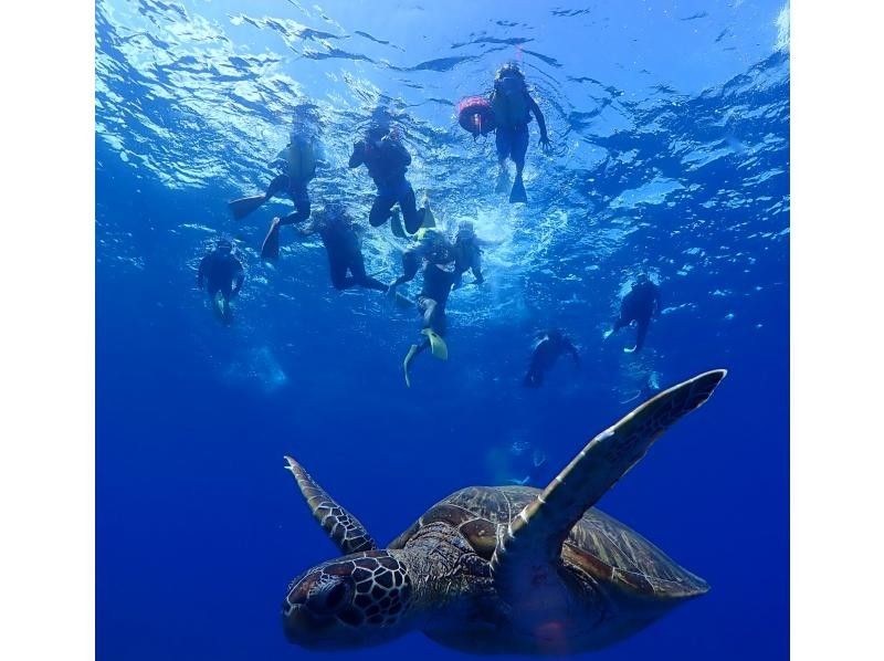 超お得！宮古島/ボートツアー【ウミガメと泳ぐ！秘境の洞窟＆プライベートビーチシュノーケルツアー】ウミガメ遭遇率98％！ドローン撮影無料！の紹介画像