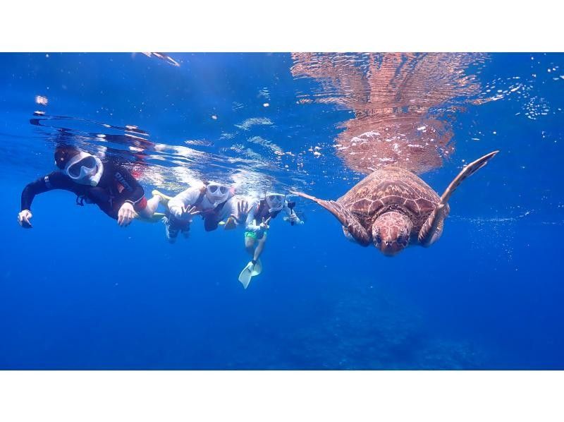 宮古島【定番の青の洞窟&大人気ウミガメシュノーケルツアー】ウミガメ遭遇率驚異の99％！ドローン撮影込み！女性・カップルにオススメ！！の紹介画像