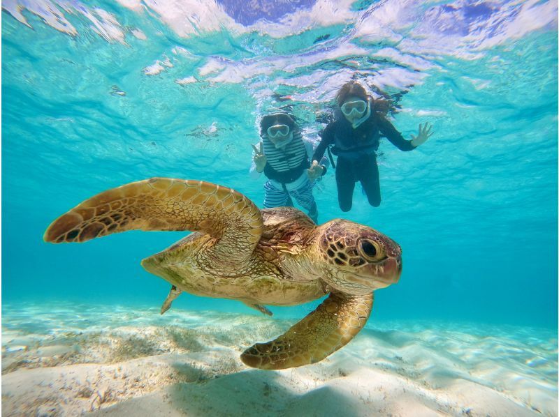 Super Summer Sale 2024 ☆ 99.9% chance of encountering sea turtles ☆ Beach snorkeling ☆ Free underwater photography ♪ Data will be given to you immediately after the tour ♪の紹介画像