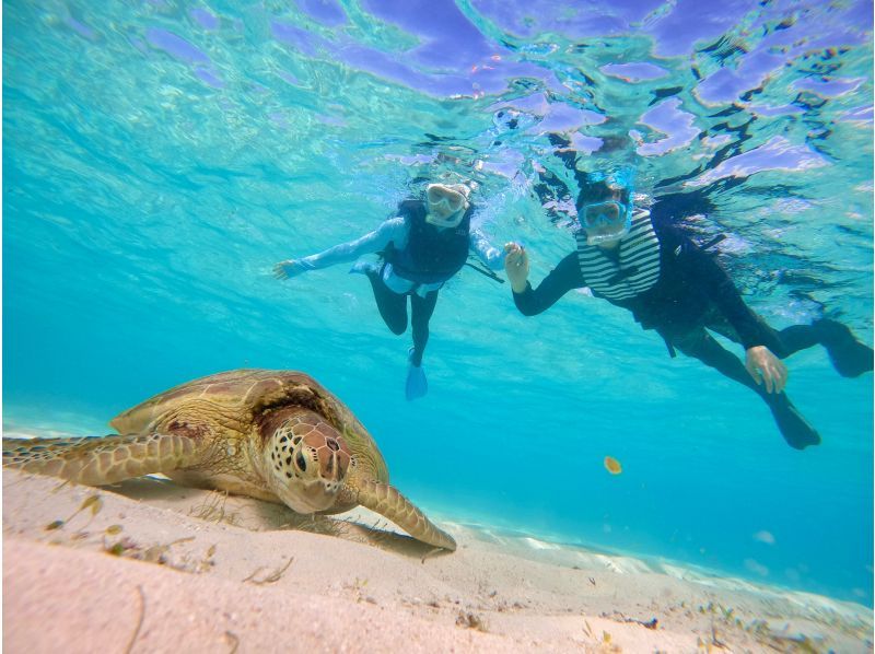 Super Summer Sale 2024 ☆ 99.9% chance of encountering sea turtles ☆ Beach snorkeling ☆ Free underwater photography ♪ Data will be given to you immediately after the tour ♪の紹介画像