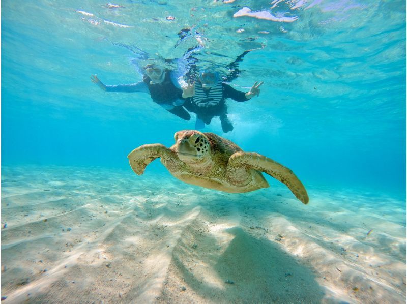 Super Summer Sale 2024 ☆ 99.9% chance of encountering sea turtles ☆ Beach snorkeling ☆ Free underwater photography ♪ Data will be given to you immediately after the tour ♪の紹介画像