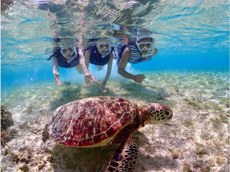 Super Summer Sale 2024 ☆ 99.9% chance of encountering sea turtles ☆ Beach snorkeling ☆ Free underwater photography ♪ Data will be given to you immediately after the tour ♪の紹介画像