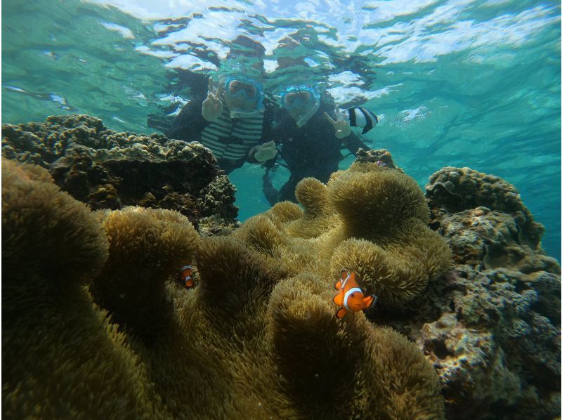 ☆ウミガメ遭遇率99.9％☆ビーチシュノーケリング♪無料撮影♬の紹介画像