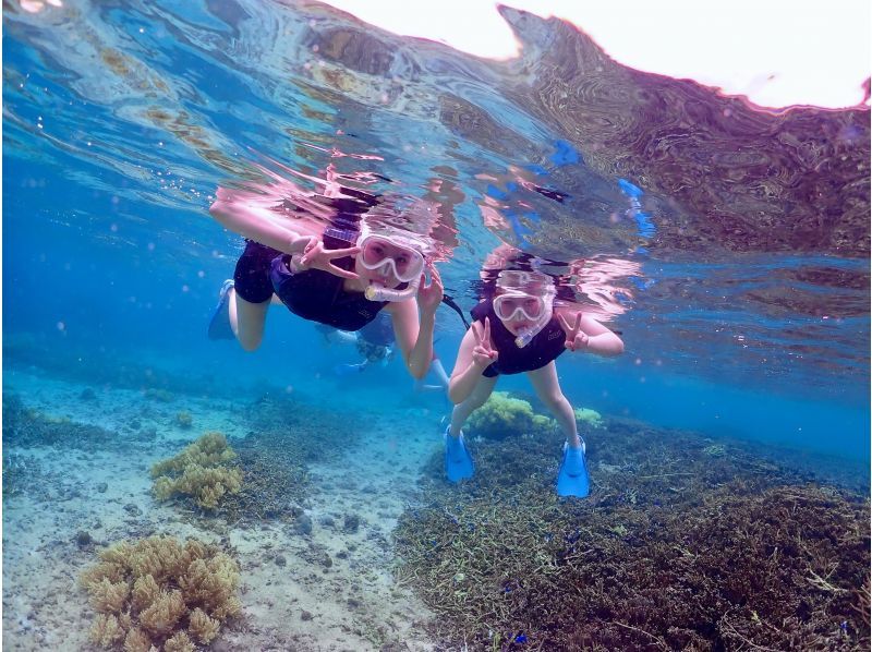 ☆ウミガメ遭遇率99.9％☆ビーチシュノーケリング♪無料撮影♬の紹介画像