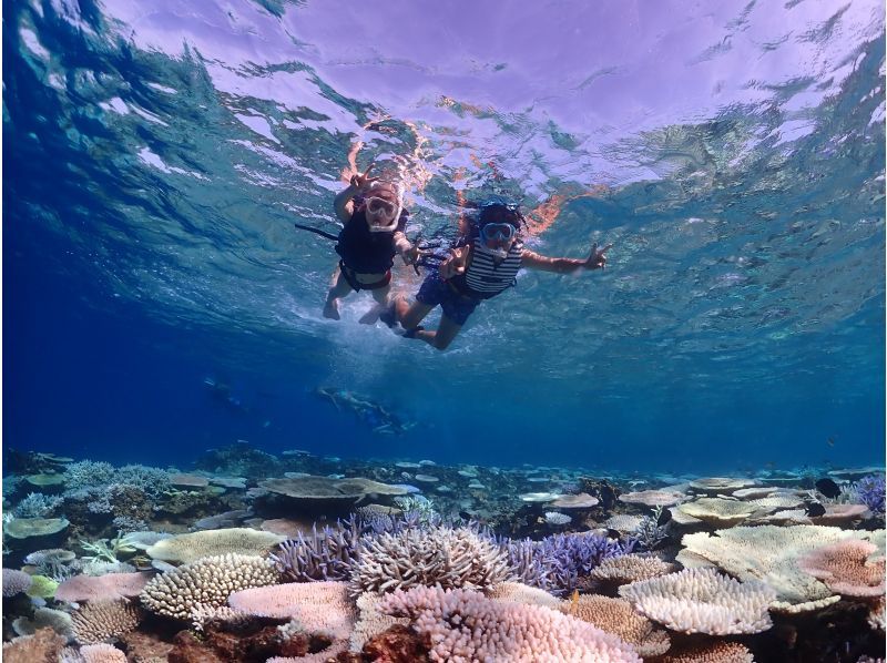 Which is recommended in Yaebise, snorkeling or diving? Thorough comparison of popular experience tours!