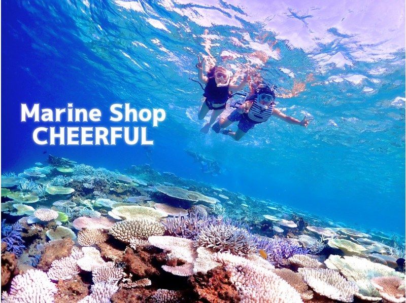 Super Summer Sale 2024 ☆ Top quality ☆ Yaebiji snorkeling guided by the "best staff" 《Drone & high quality underwater camera》 Free photography ★ Children's rates availableの紹介画像