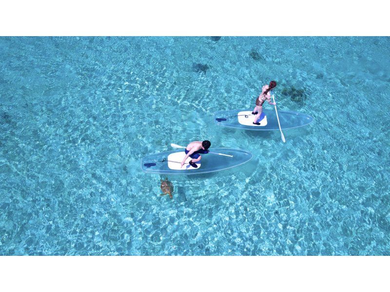 Super Summer Sale 2024☆99.9% chance of encountering sea turtles☆Clear SUP or Clear Kayak - 1 hour plan - Our most popular tour for social media♪の紹介画像