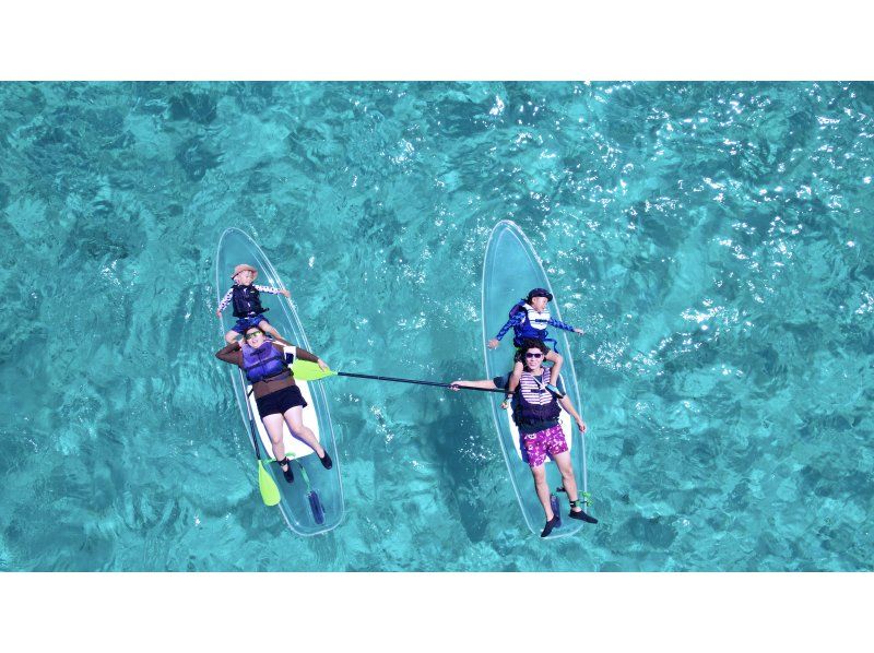 [Spring Sale] [99.9% chance of encountering sea turtles] Clear SUP or Clear Kayak - 1 hour plan - Our most popular tour for social media♪の紹介画像