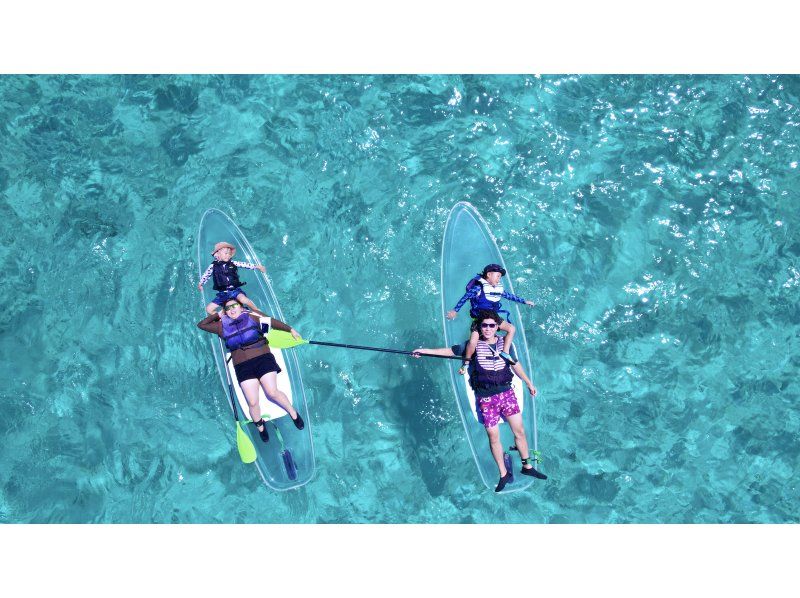 Super Summer Sale 2024☆99.9% chance of encountering sea turtles☆Clear SUP or Clear Kayak - 1 hour plan - Our most popular tour for social media♪の紹介画像