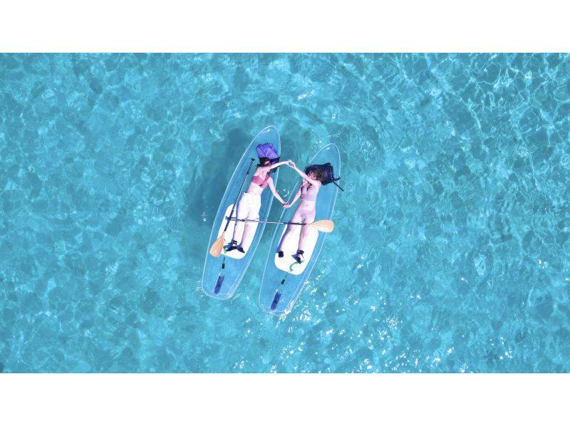[Free drone photography] Clear Sap or Clear Kayak《Sea turtle encounter rate 99.9%! 》 -1 hour plan-
