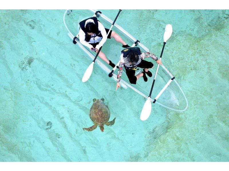 シーカヤック　ウミガメを見つけたカップル　水面までの近さが魅力