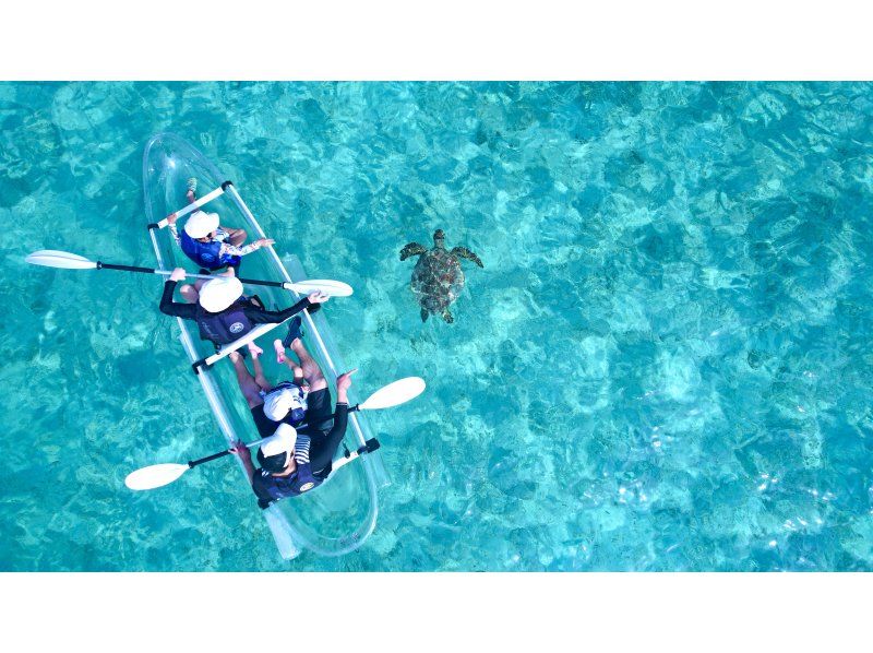 【春季特卖进行中】《海龟邂逅率99.9%》透明皮划艇或透明汁液~推荐给带小孩的家庭~の紹介画像