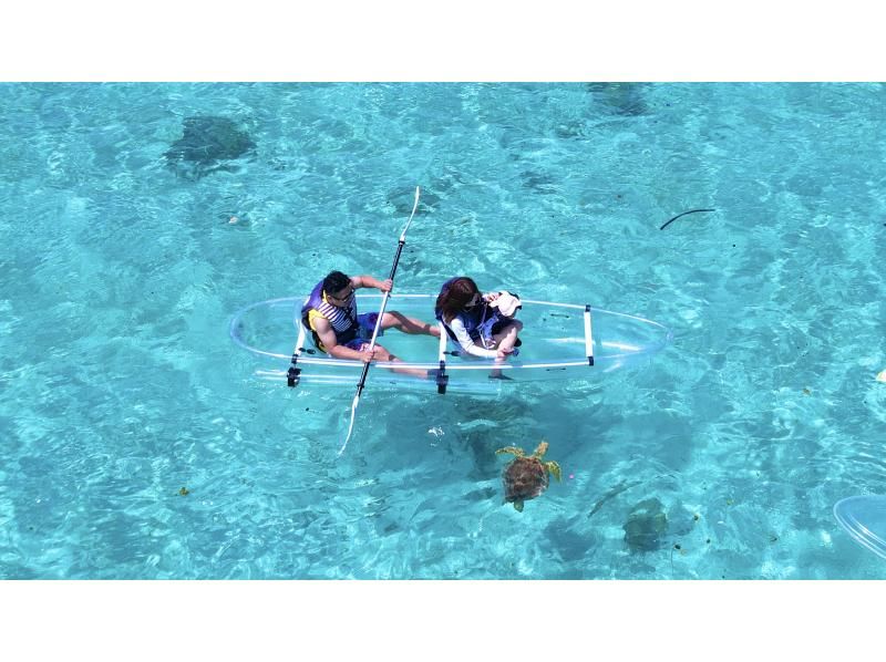 Super Summer Sale 2024 ☆ 99.9% chance of encountering sea turtles ☆ Clear Kayak or Clear SUP ~ Recommended for families with small children ~の紹介画像