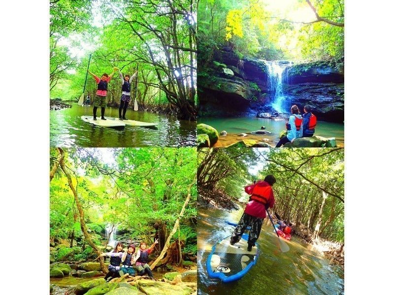 【世界遺産 西表島】大見謝の滝キャニオニング＆マングローブ SUP・カヌー秘境クルーズ【ツアー写真データ無料】の紹介画像