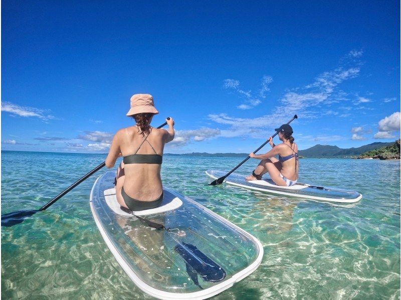 이시가키 섬에서 클리어 SUP (샹)을 즐기는 여성 말레 이시가키 섬