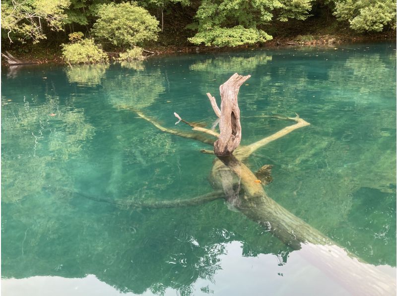 [北海道/千歲]支笏湖SUP體驗|在日本水質最好的支笏湖輕鬆巡航！ ｜讓我們在具有出色透明度的Instagram值得拍照的地方拍照！の紹介画像