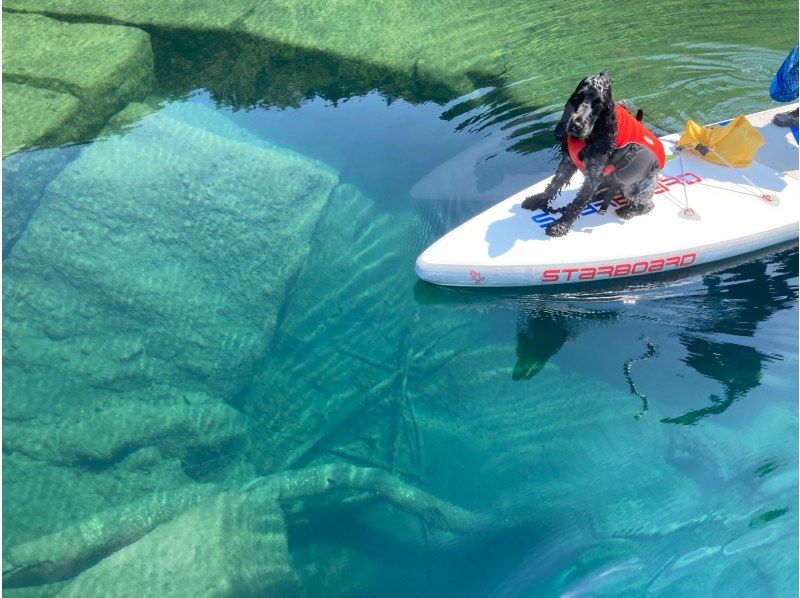 [北海道/千歲]支笏湖SUP體驗|在日本水質最好的支笏湖輕鬆巡航！ ｜讓我們在具有出色透明度的Instagram值得拍照的地方拍照！の紹介画像