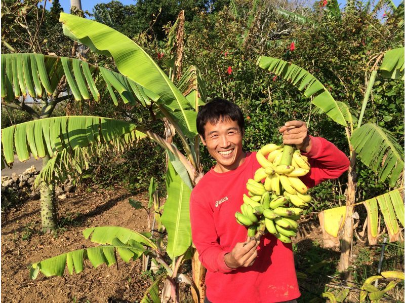 [Miyakojima] Online 40-minute tour to fully explore the charm of bananas! The raw material for 〇〇 is banana! ? ★Beginners welcome, parents and children welcomeの紹介画像