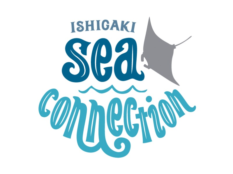 [沖繩/石垣島] 包船享受沖繩的大海！ ！！歡迎初學者，婦女和兒童！八重山海潛之旅！ ！！ （半天2潛）の紹介画像