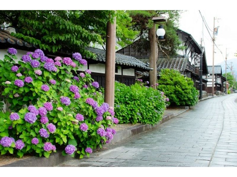 [Fukui / Echizen Ono] Special Price! Private English Guided Tour (3hrs)の紹介画像