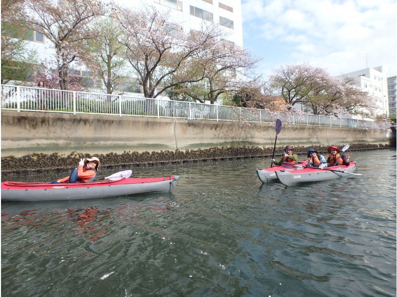 [東京/江戶川]僅限櫻花觀賞季節♪那些可以緊緊划船的人！對於那些想要划船的人！東京運河長獨木舟之旅<適合有經驗的人>の紹介画像
