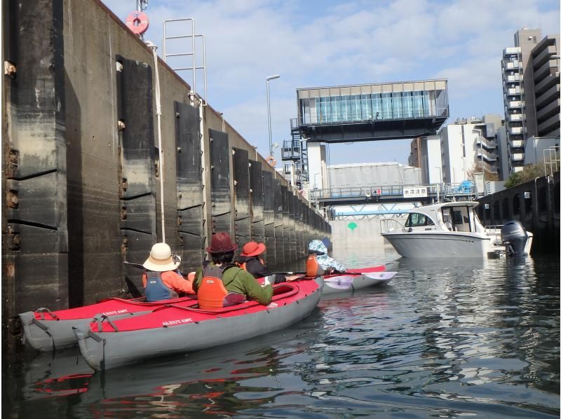 【도쿄・에도가와】 하나미의 시기 한정♪ 젓고 싶은 분에게! 도쿄 운하 롱 카누 투어 <경험자용>の紹介画像