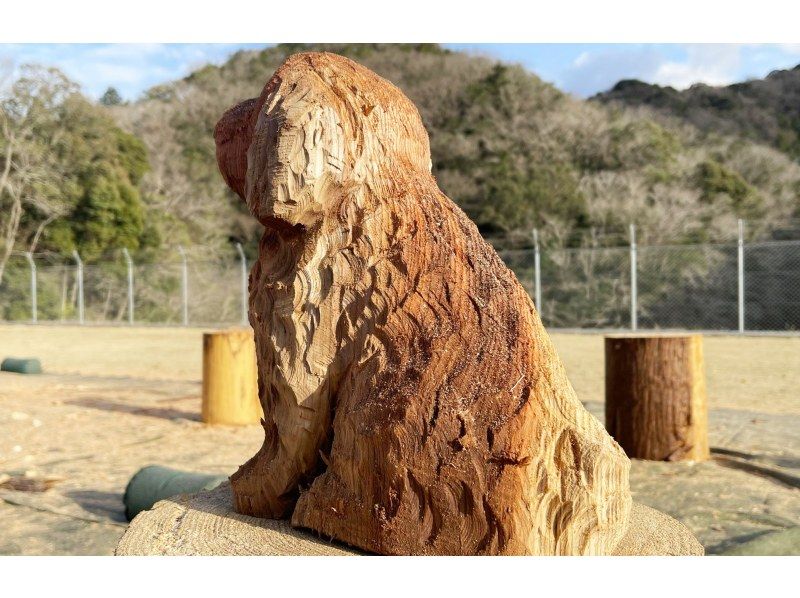 三重・多気】チェーンソーアートでトイプードルの木彫り体験♪ | アクティビティジャパン