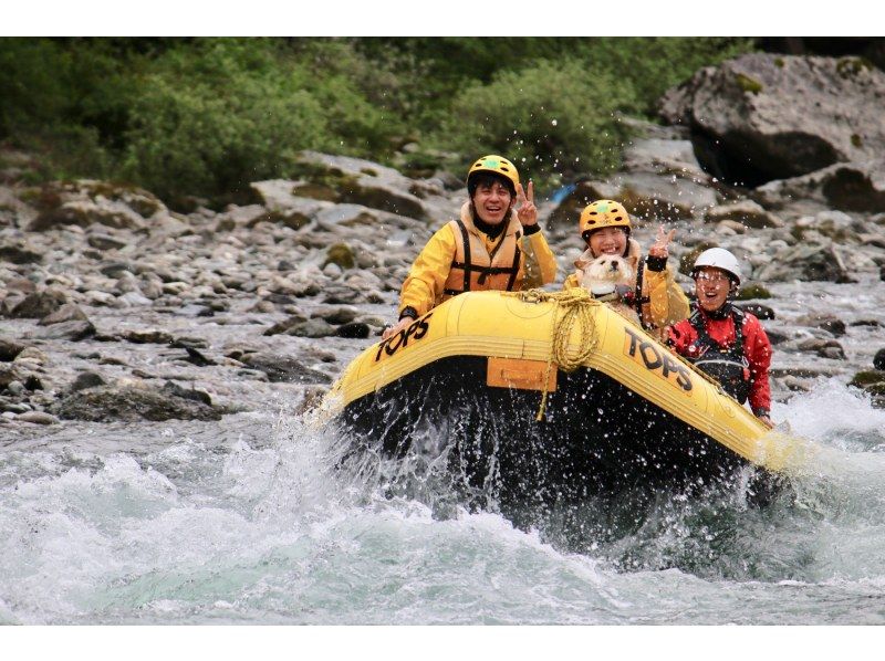 [Shikoku Yoshino River] Your beloved dog is also a member of the family! Rafting experience together Kochi Family Course Free photo gift!の紹介画像
