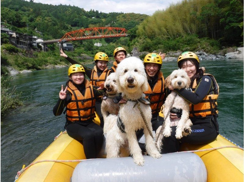[Shikoku Yoshino River] Your beloved dog is also a member of the family! Rafting experience together Kochi Family Course Free photo gift!の紹介画像